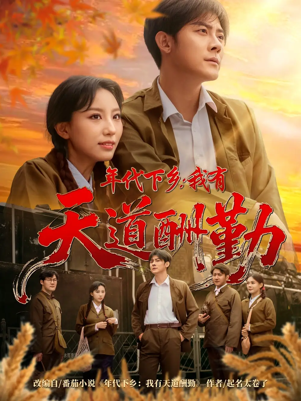 短剧《年代下乡我有天道酬勤》完整版全集免费观看