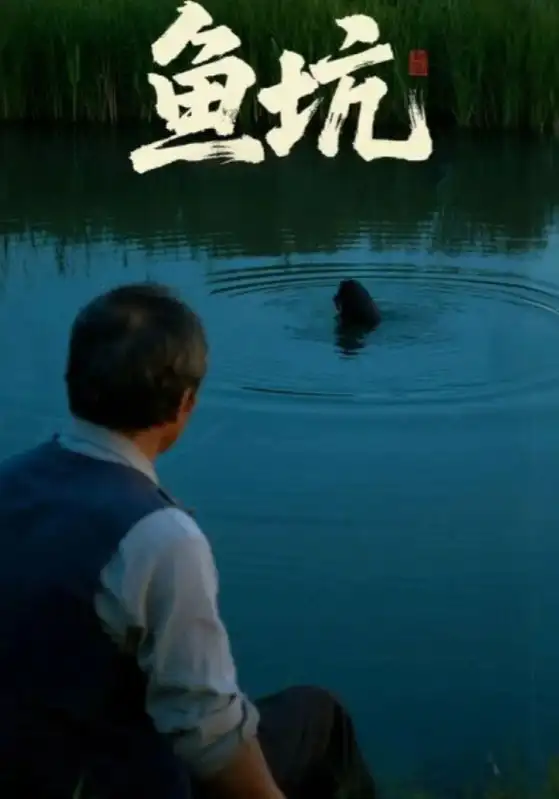 短剧《鱼坑》完整版全集免费观看