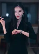 制裁者的游戏（25集）海报