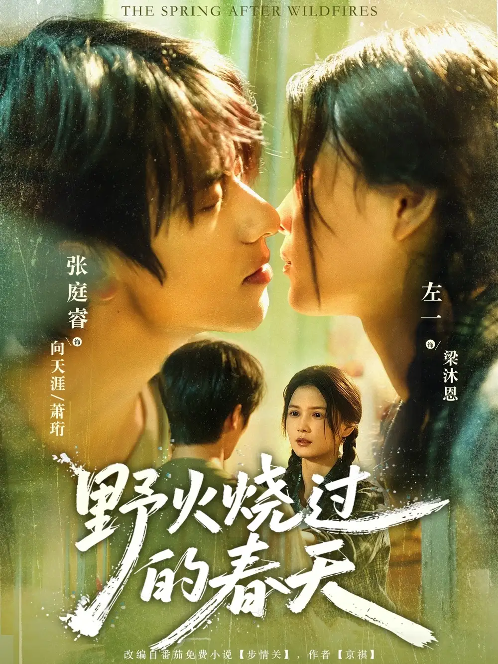 短剧《野火烧过的春天》完整版全集免费观看