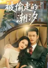 短剧《被偷走的潮汐》完整版全集免费观看