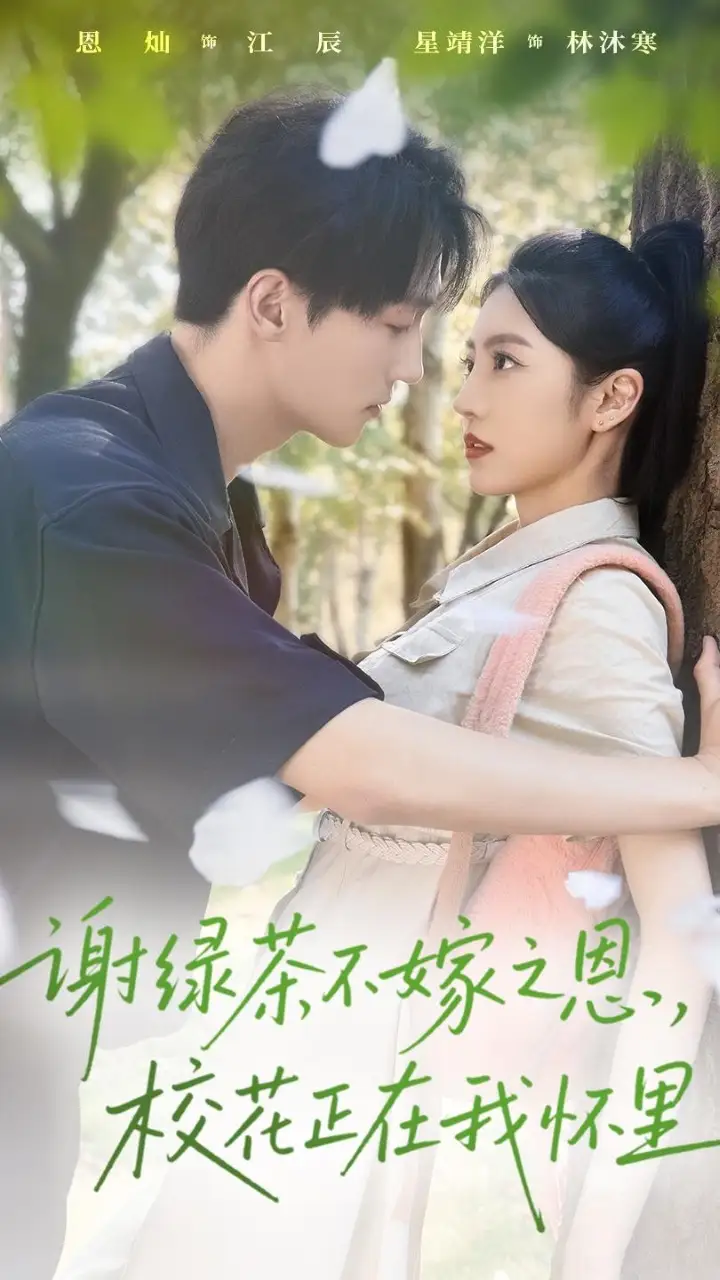 短剧《谢绿茶不嫁之恩校花正在我怀里》完整版全集免费观看