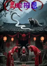 短剧《灵蛇报恩》完整版全集免费观看