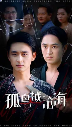 短剧《孤鸟越沧海》完整版全集免费观看