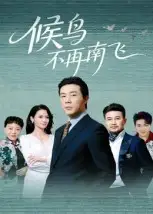 短剧《候鸟不再南飞》完整版全集免费观看