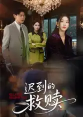 迟到的救赎（50集）杨莯海报