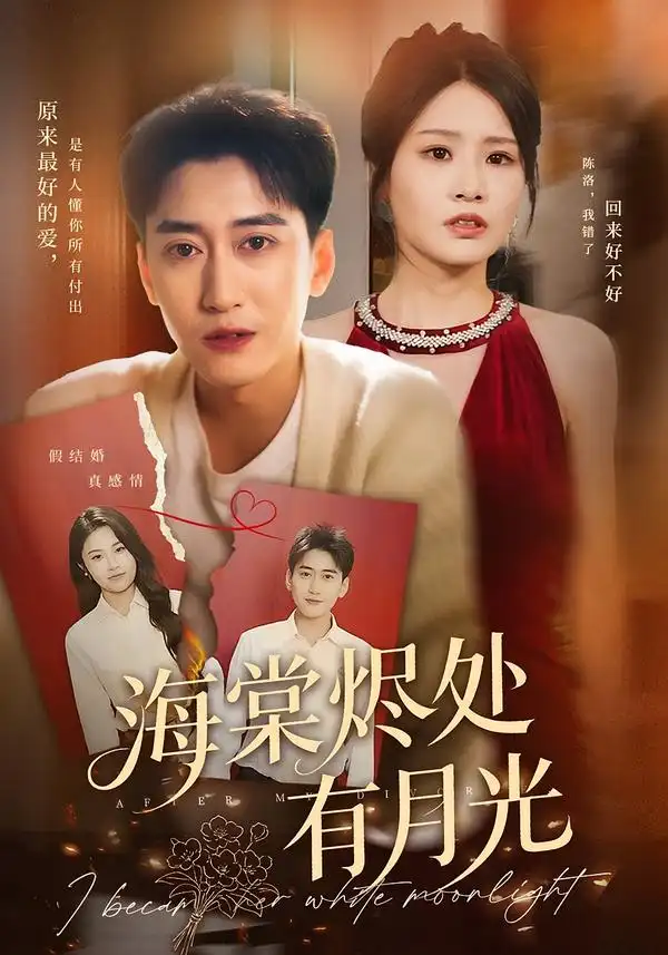 短剧《海棠烬处有月光》完整版全集免费观看