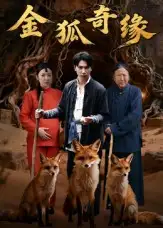 短剧《金狐奇缘》完整版全集免费观看