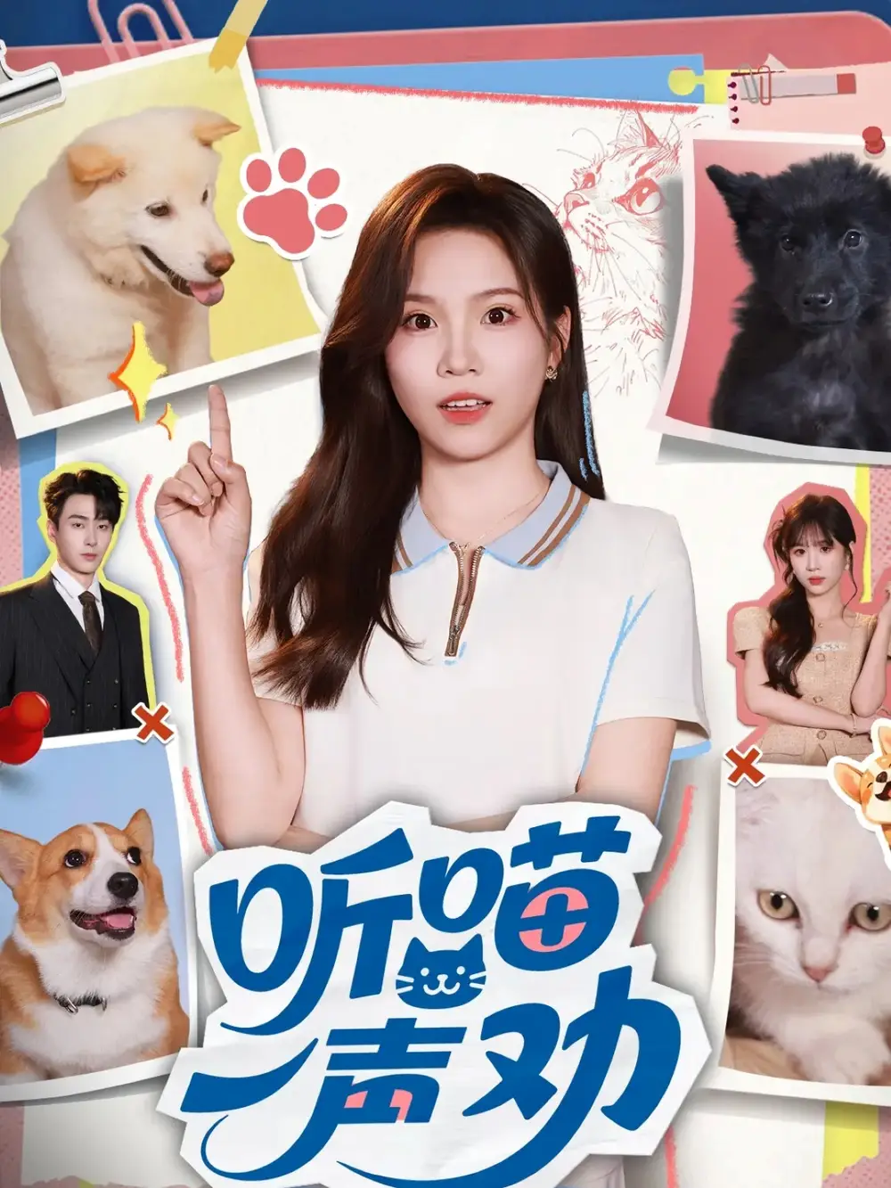 短剧《听喵一声劝》完整版全集免费观看