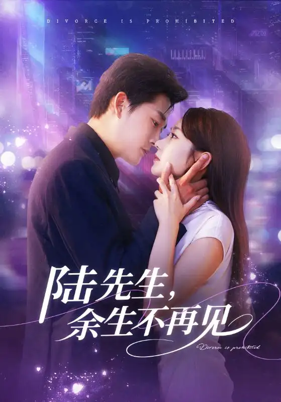 短剧《陆先生，余生不再见》完整版全集免费观看