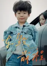 短剧《车毁前程》完整版全集免费观看