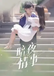暗夜情事（100集）李豪&朱梦怡海报