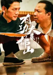 短剧《有功夫来佛山》完整版全集免费观看