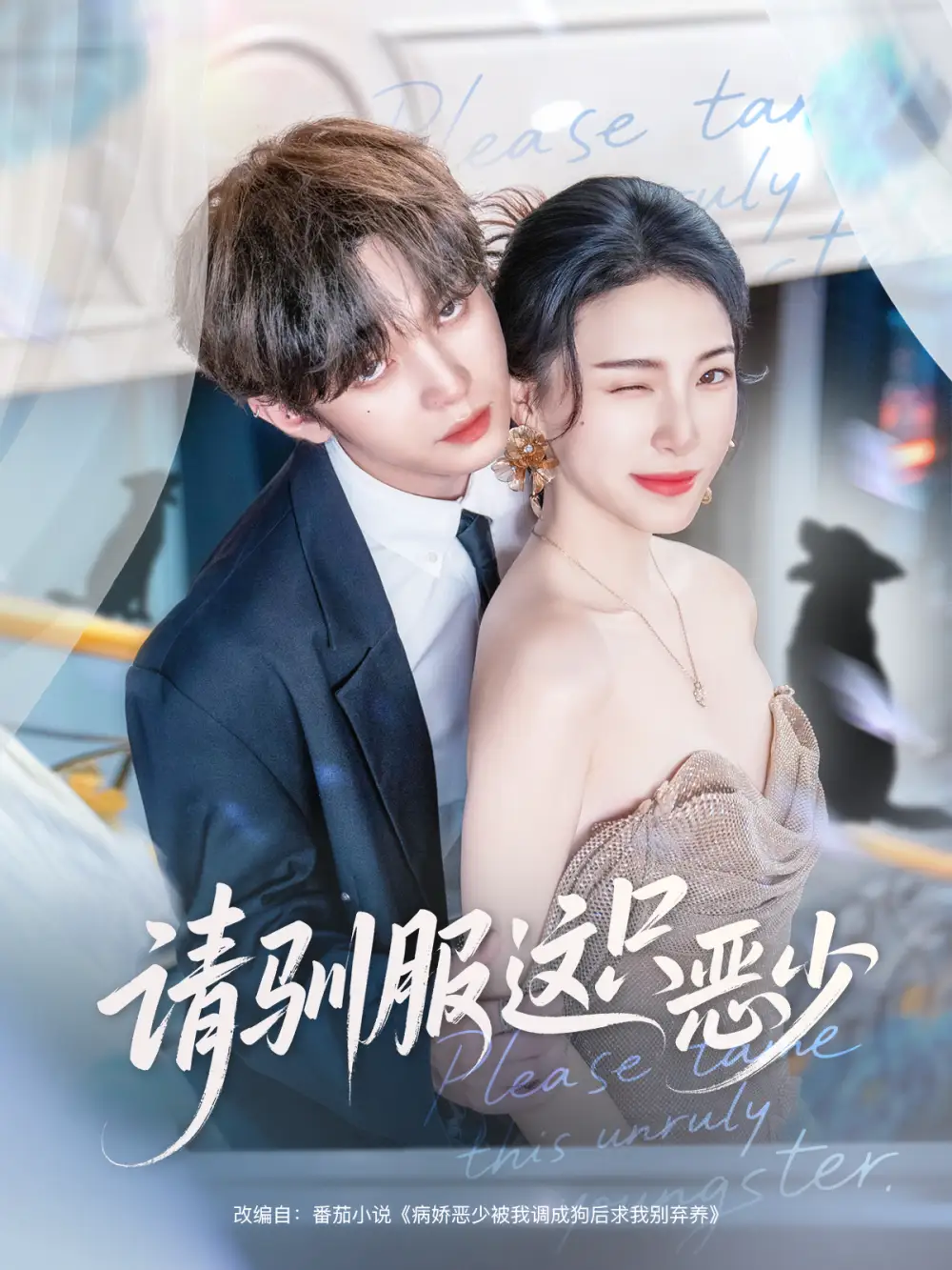 短剧《请驯服这只恶少》完整版全集免费观看