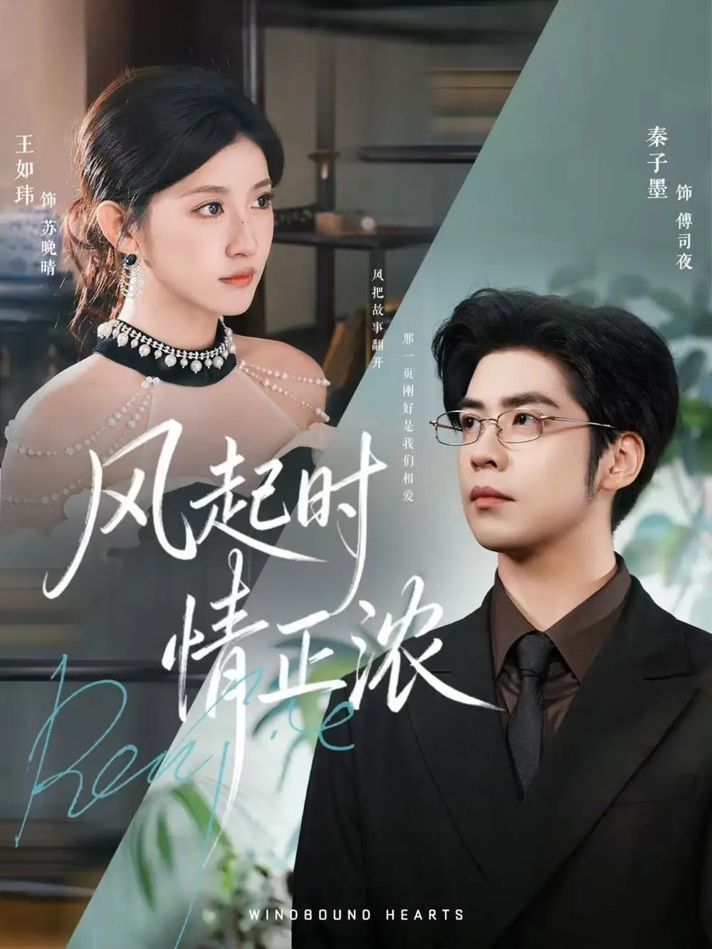 短剧《风起时情正浓》完整版全集免费观看