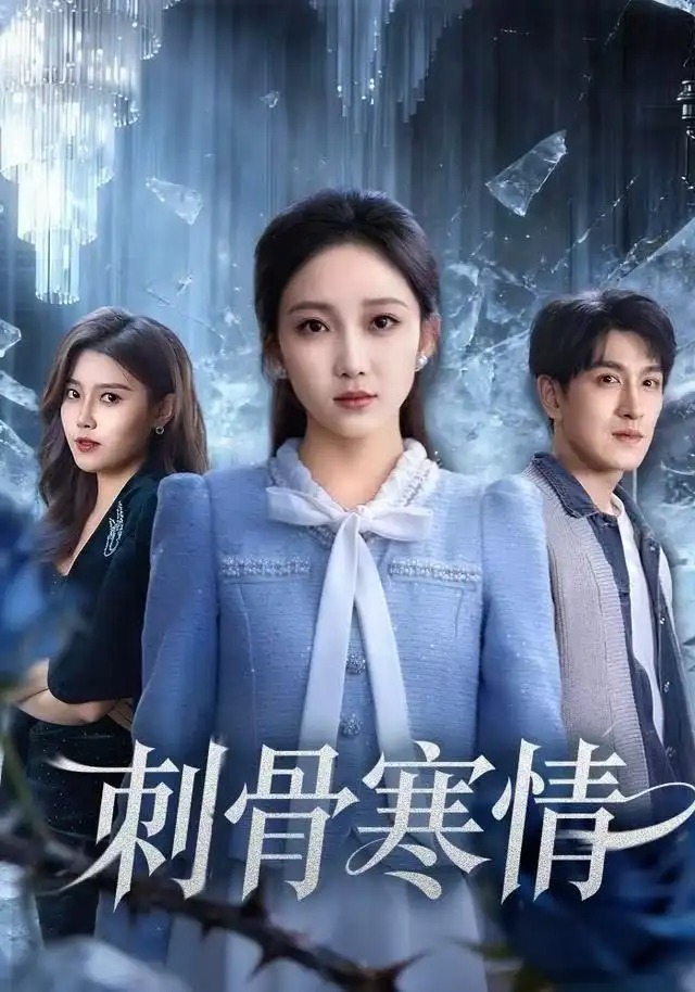 刺骨寒情（58集）林可汉＆马菲海报