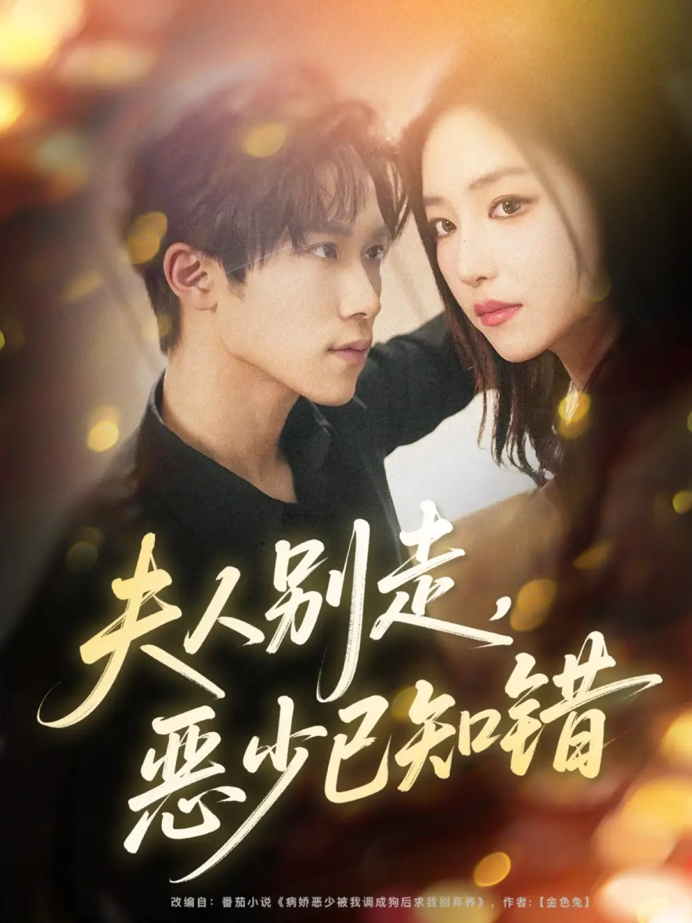 短剧《夫人别走恶少已知错》完整版全集免费观看