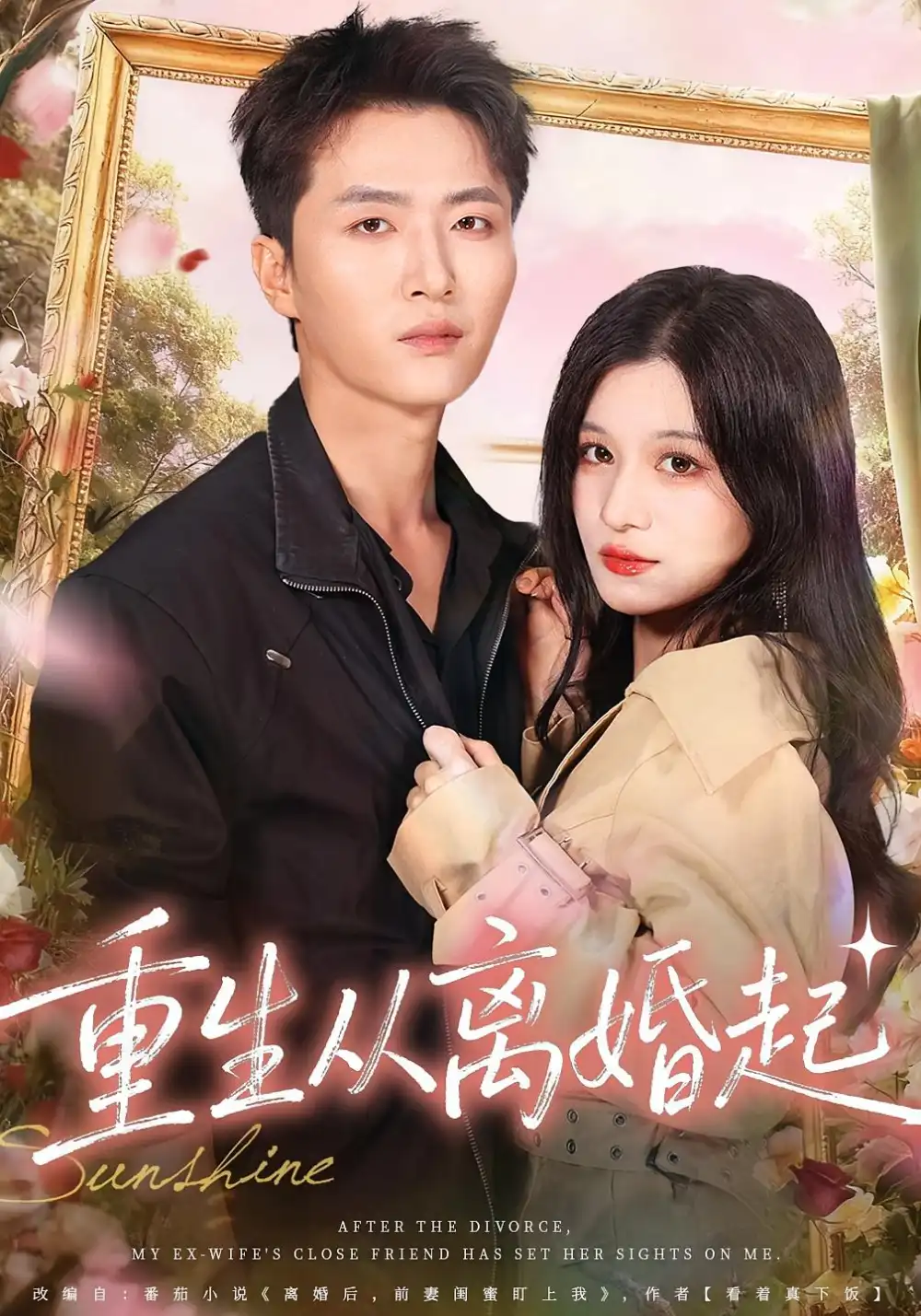 重生从离婚起(64集)王嘉皓&李佳慧高清海报图片 重生从离婚起(64集)王嘉皓&李佳慧海报