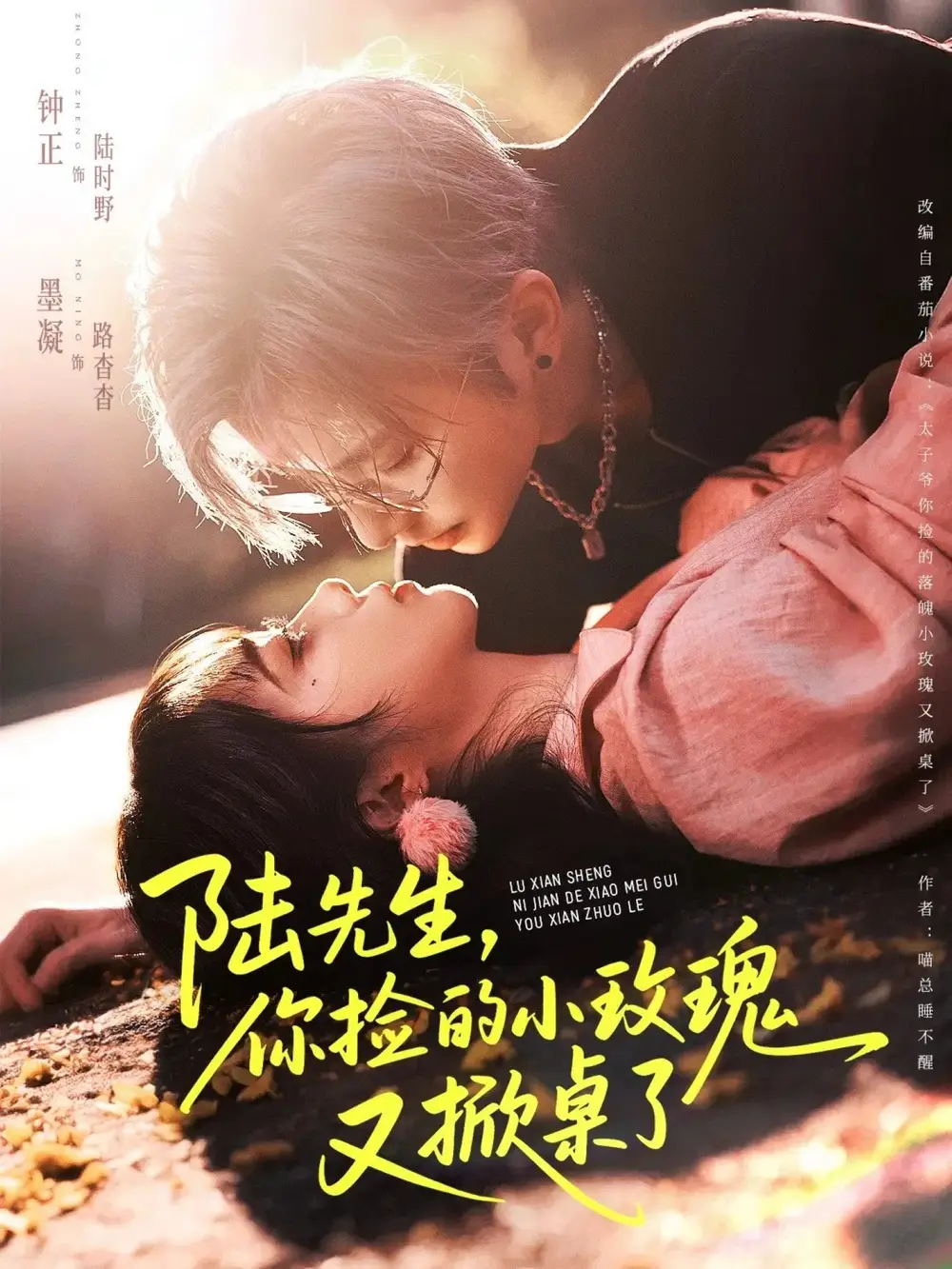 陆先生，你捡的小玫瑰又掀桌了（74集）钟正＆墨凝海报