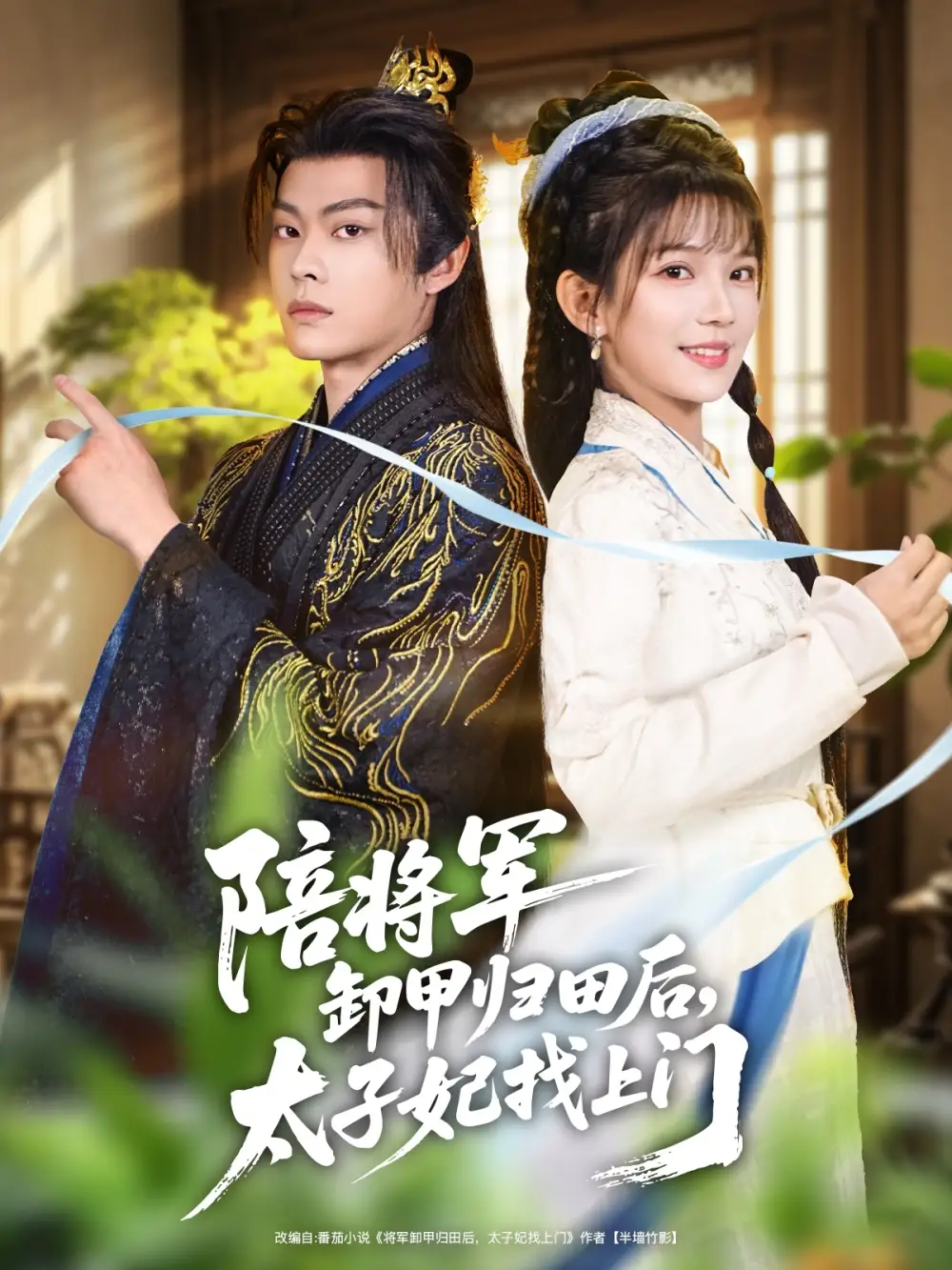 短剧《陪将军卸甲归田后，太子妃找上门》完整版全集免费观看